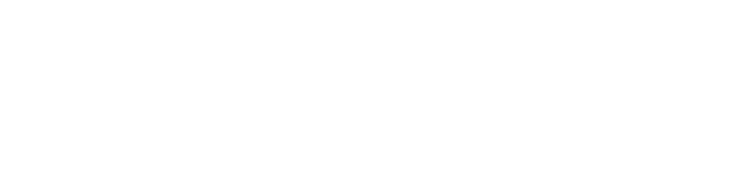 Absolute Care at Home